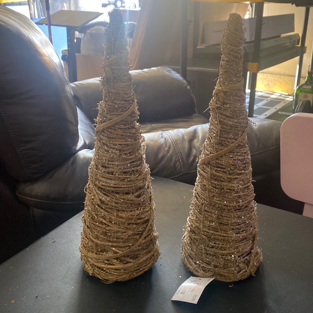 2 Tree Cones